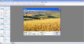 面業(yè)專家面粉廠管理系統(tǒng)V2012官方綠色版 實(shí)現(xiàn)高效生產(chǎn)與外圍設(shè)備智能管理